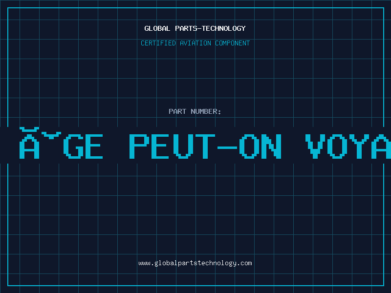 Aviation Part à partir de quel âge peut-on voyager seul en avion