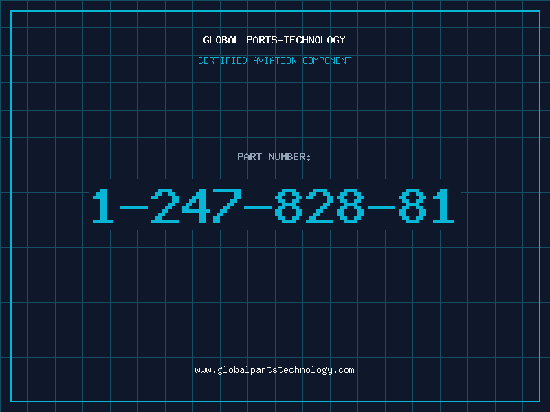 Aviation Part 1-247-828-81