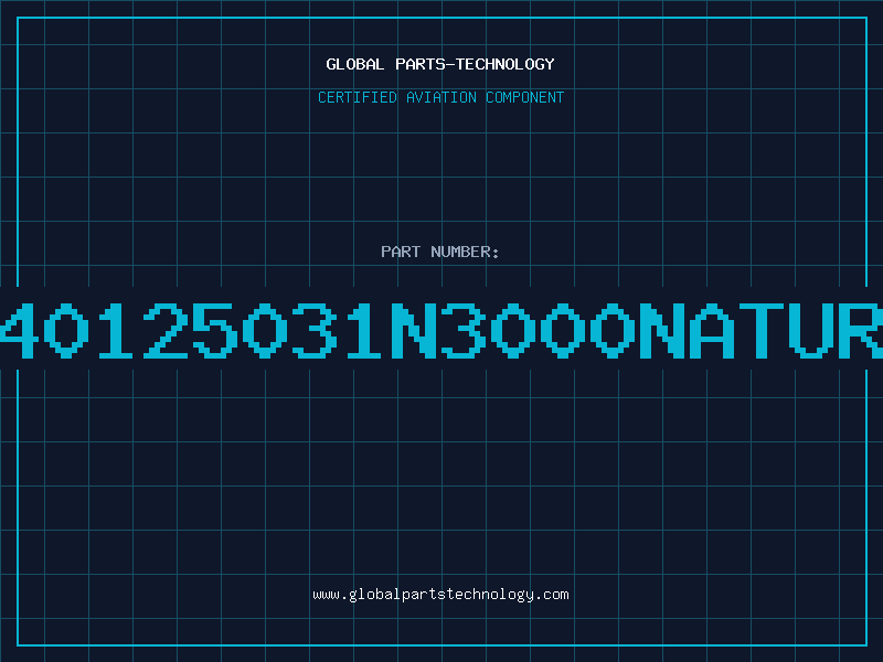 Aviation Part 1040125031N3000NATURAL
