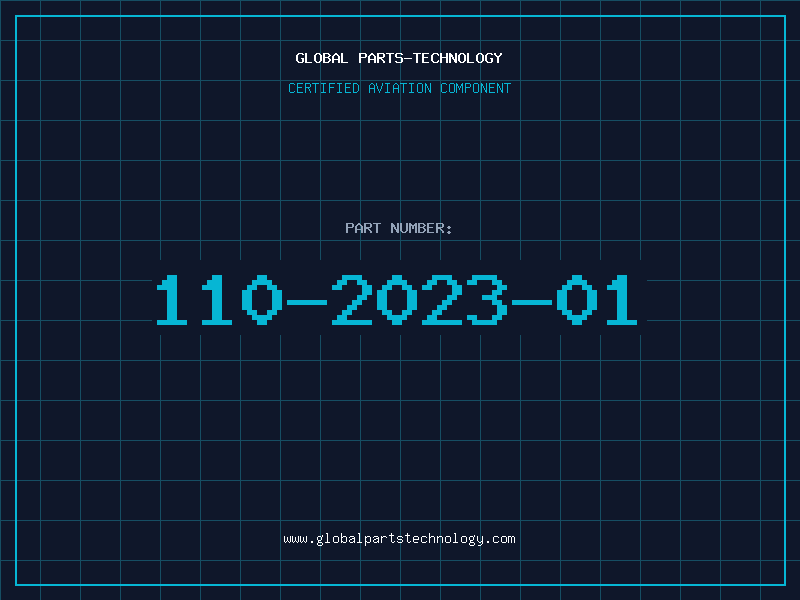 Aviation Part 110-2023-01