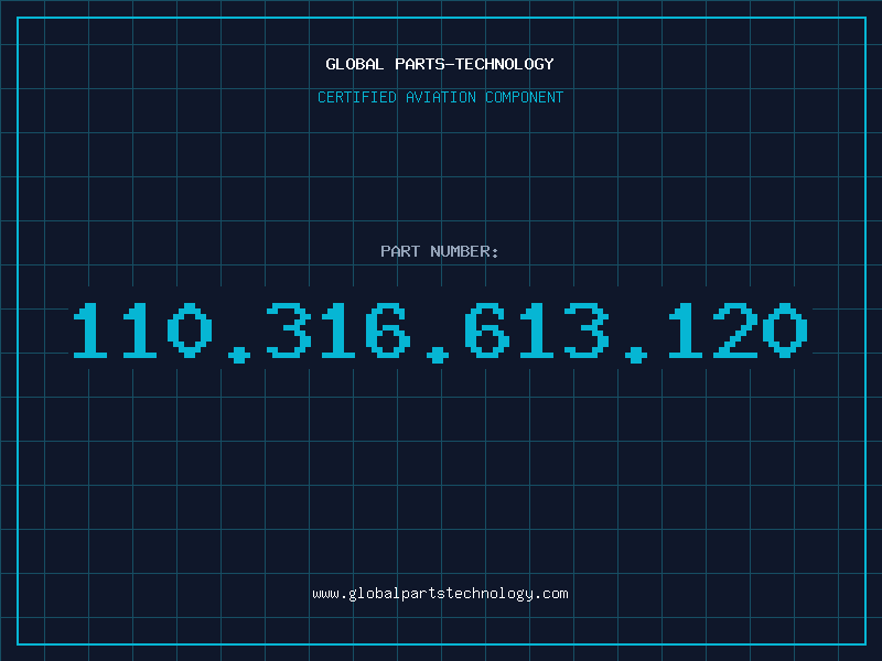 Aviation Part 110.316.613.120