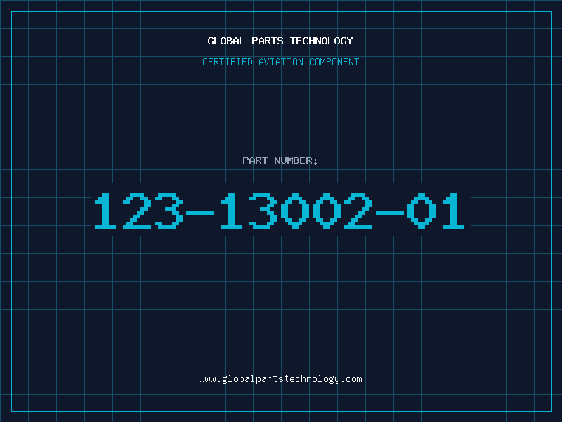 Aviation Part 123-13002-01