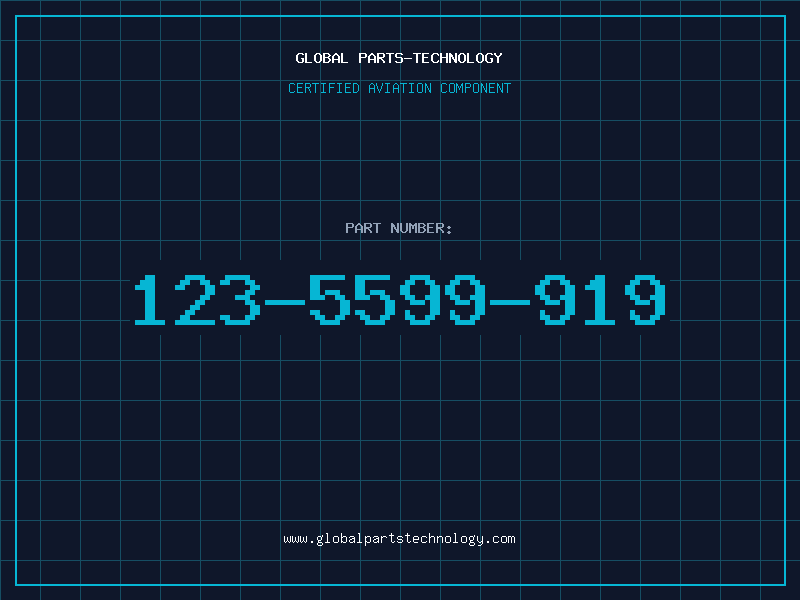 Aviation Part 123-5599-919
