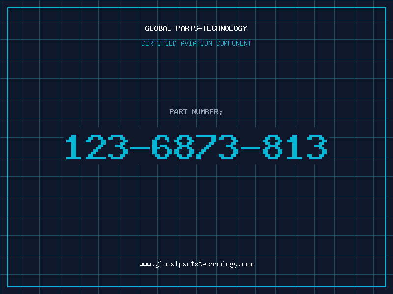 Aviation Part 123-6873-813