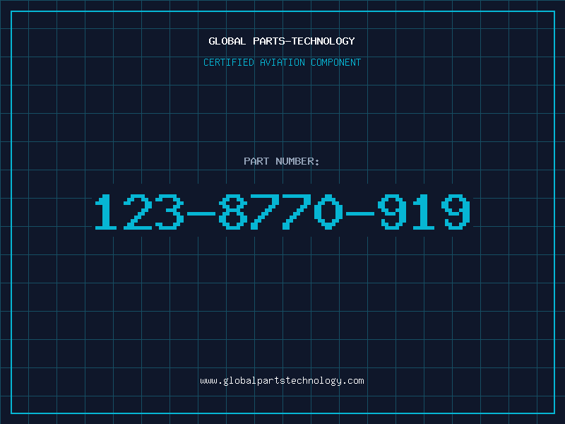 Aviation Part 123-8770-919