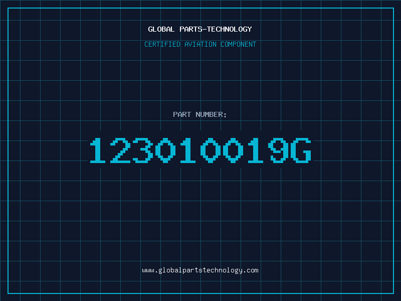 Aviation Part 123010019G