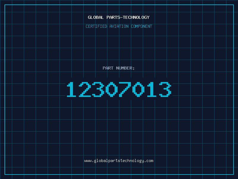 Aviation Part 12307013