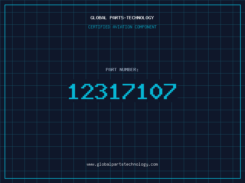 Aviation Part 12317107