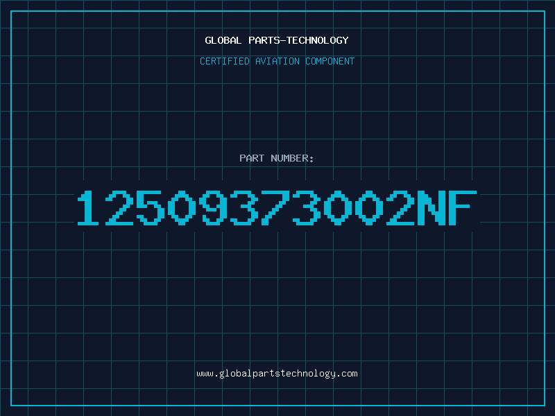 Aviation Part 12509373002NF