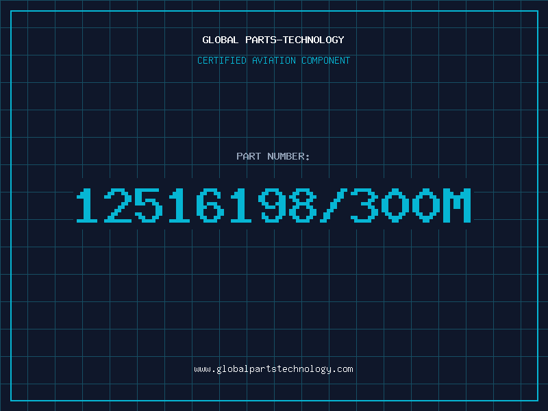 Aviation Part 12516198/300M