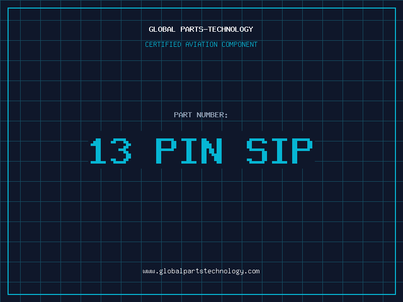Aviation Part 13 PIN SIP