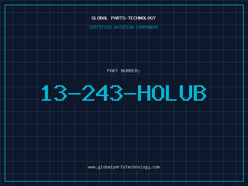 Aviation Part 13-243-HOLUB