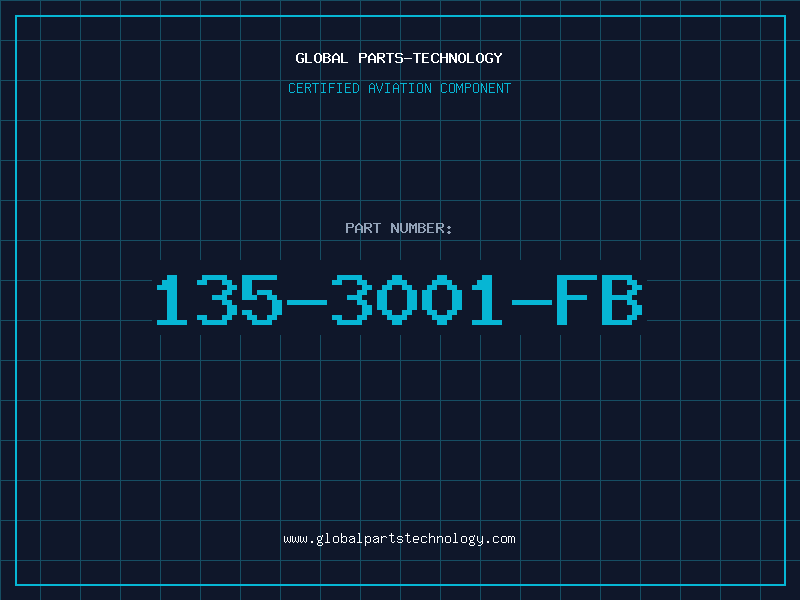 Aviation Part 135-3001-FB
