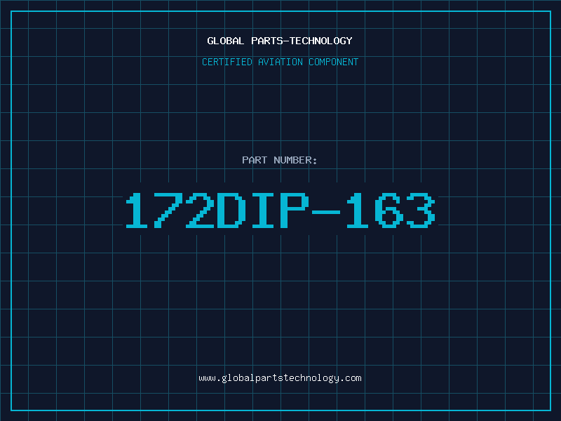 Aviation Part 172DIP-163