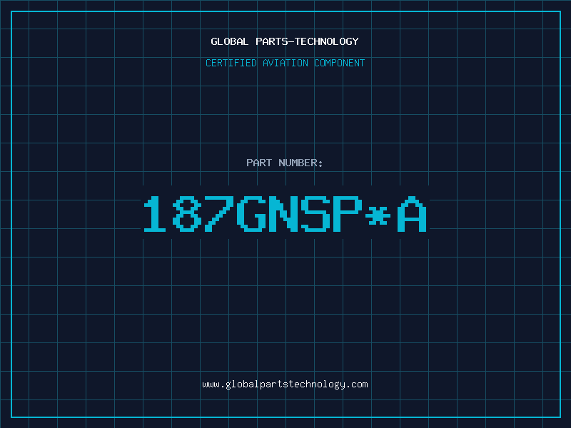 Aviation Part 187GNSP*A