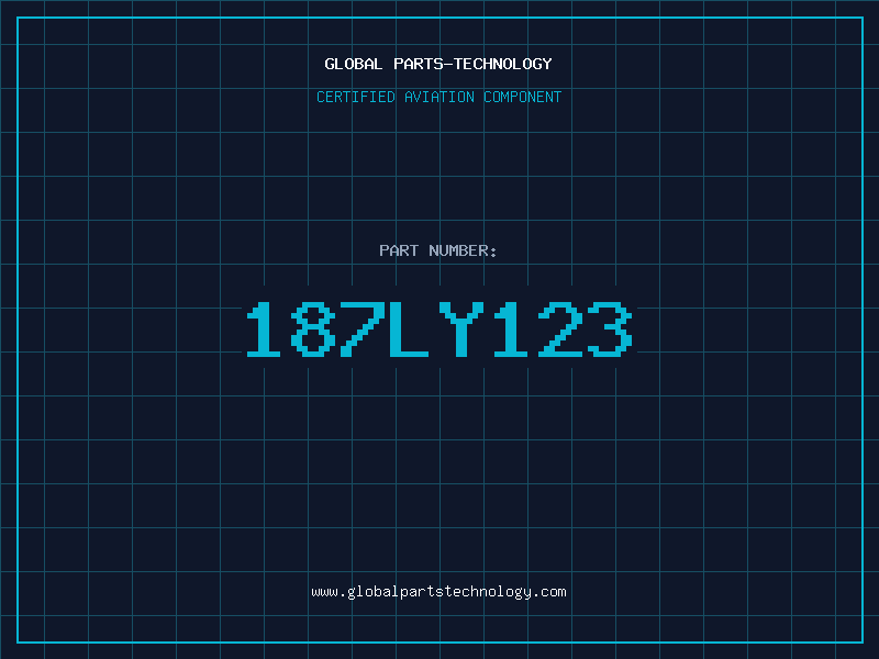 Aviation Part 187LY123