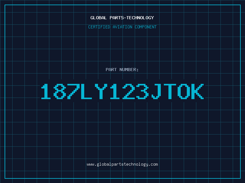 Aviation Part 187LY123JTOK