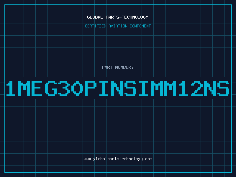 Aviation Part 1MEG30PINSIMM12NS