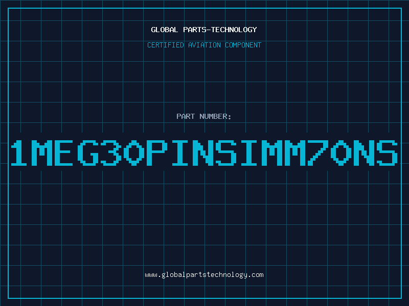 Aviation Part 1MEG30PINSIMM70NS