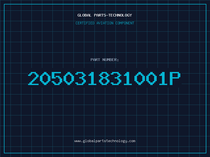 Aviation Part 205031831001P