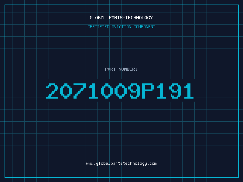 Aviation Part 2071009P191