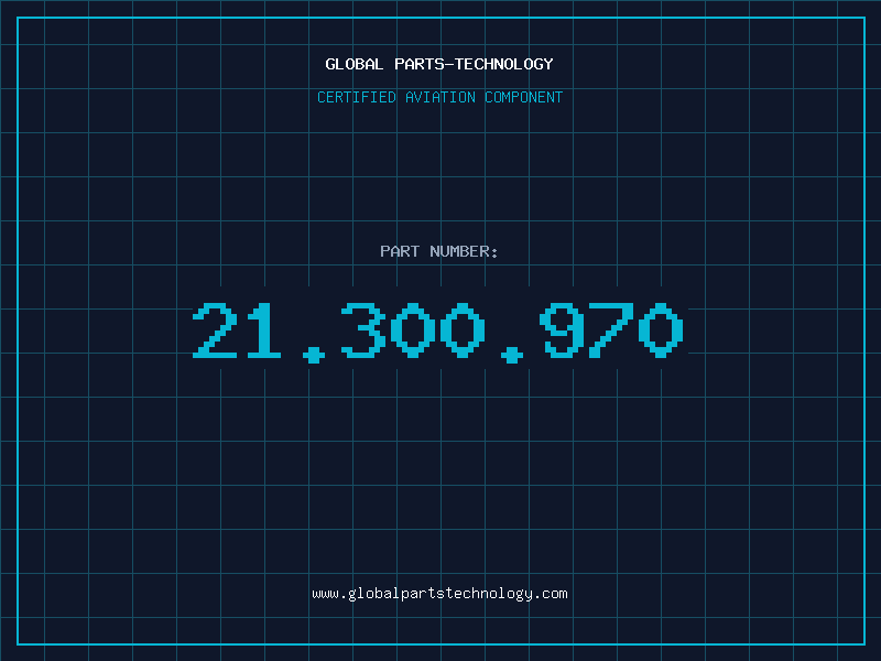 Aviation Part 21.300.970