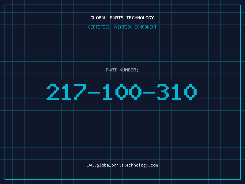 Aviation Part 217-100-310