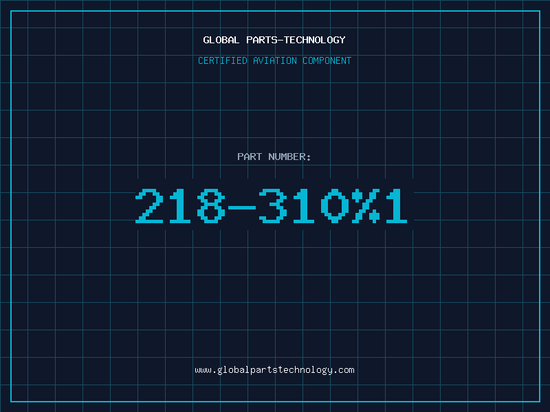 Aviation Part 218-310%1
