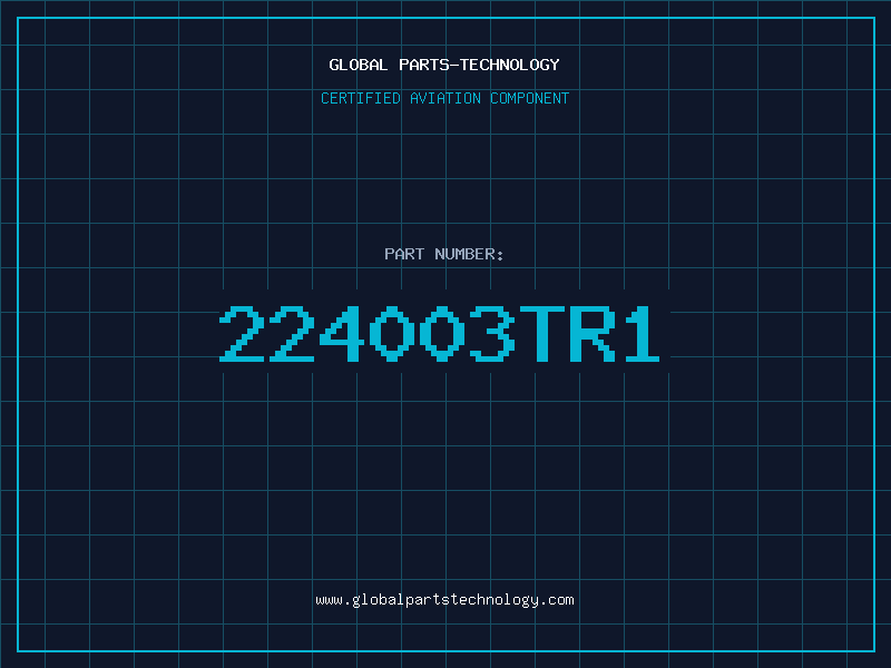 Aviation Part 224003TR1