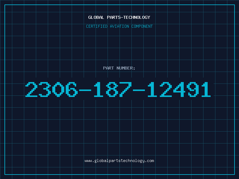 Aviation Part 2306-187-12491