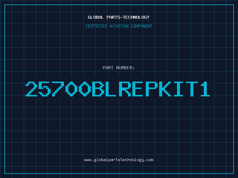 Aviation Part 25700BLREPKIT1