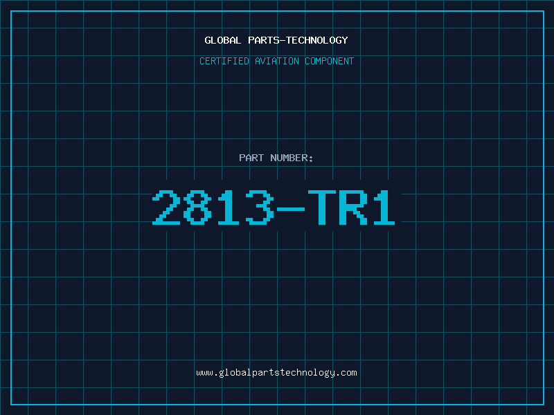 Aviation Part 2813-TR1