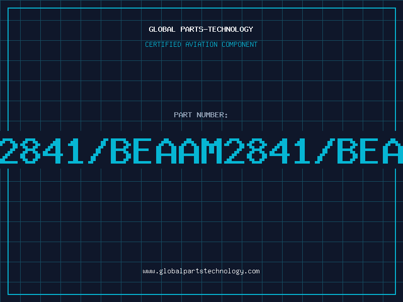 Aviation Part 2841/BEAAM2841/BEA