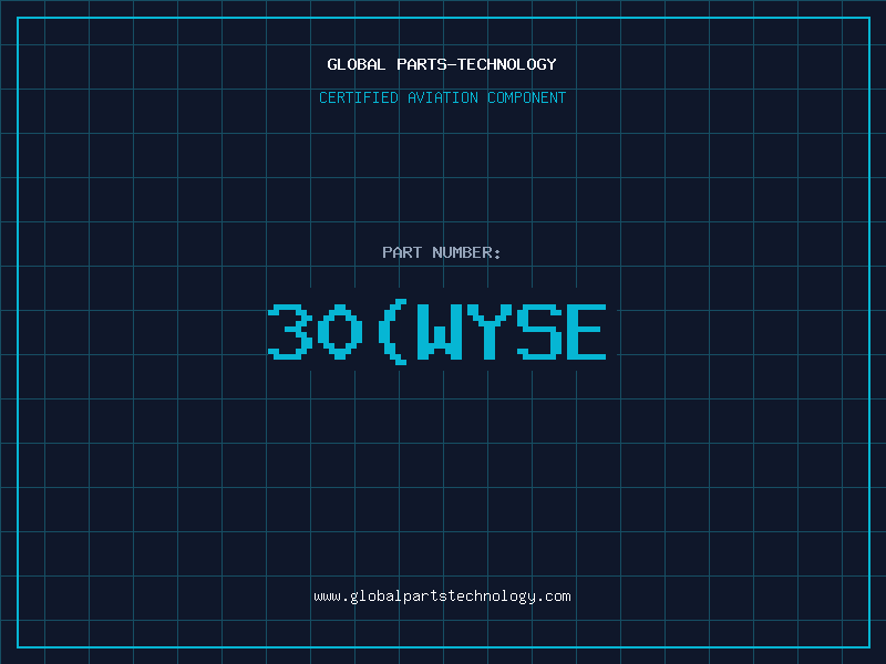 Aviation Part 30(WYSE