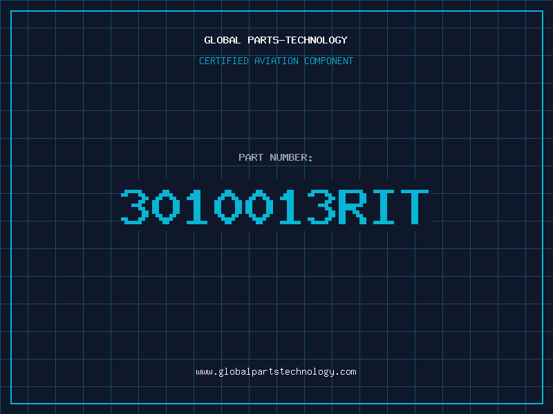 Aviation Part 3010013RIT