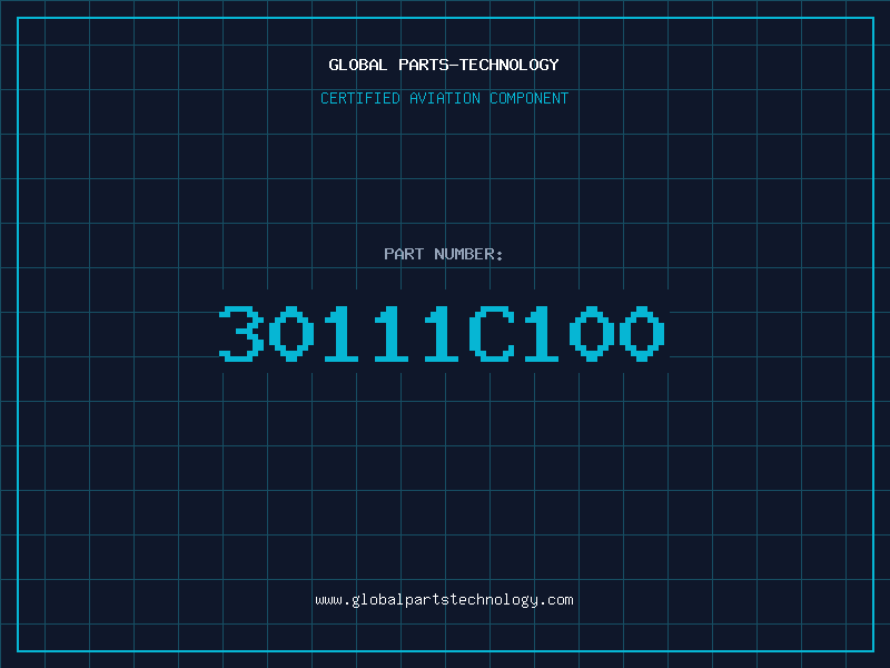 Aviation Part 30111C100