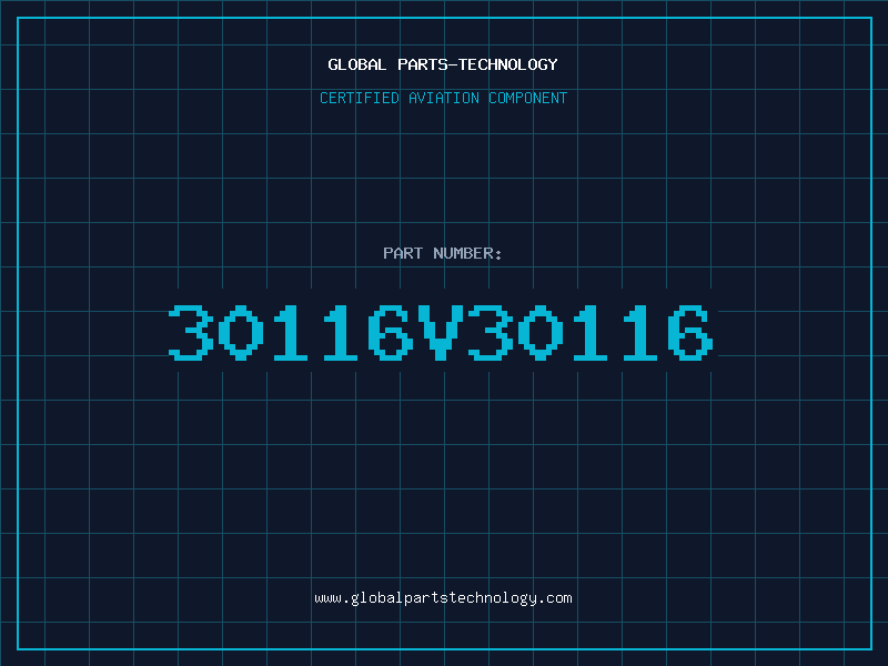 Aviation Part 30116V30116