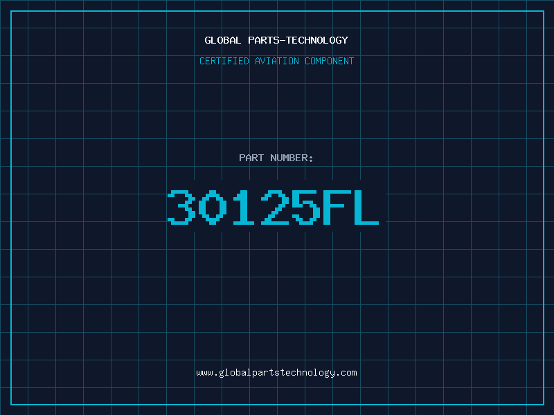 Aviation Part 30125FL