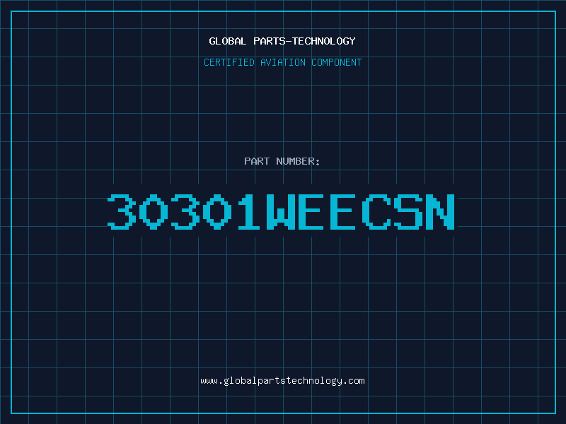 Aviation Part 30301WEECSN