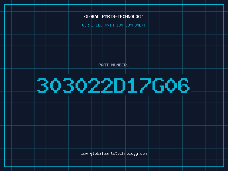 Aviation Part 303022D17G06