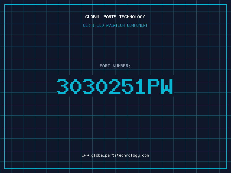 Aviation Part 3030251PW