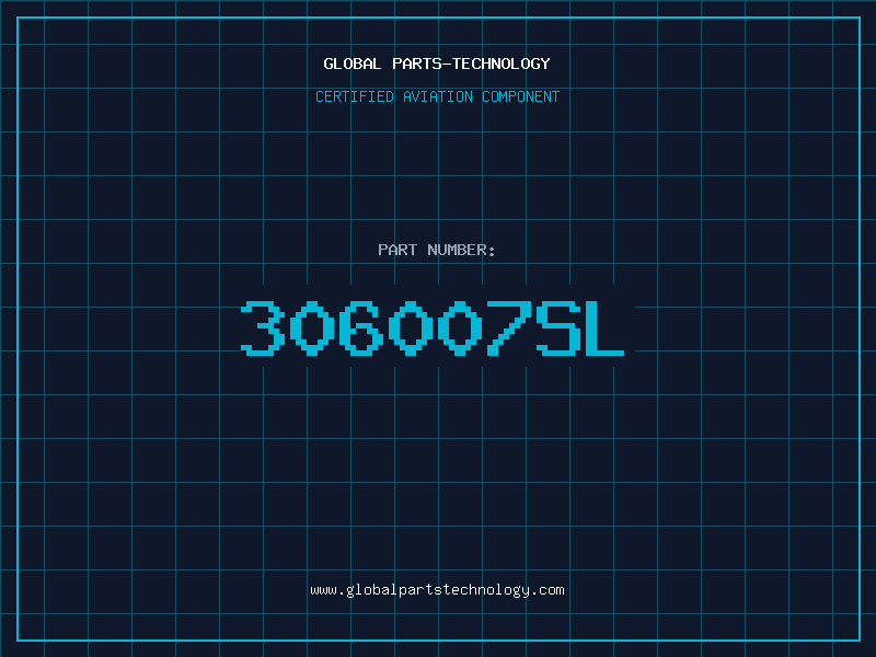 Aviation Part 306007SL