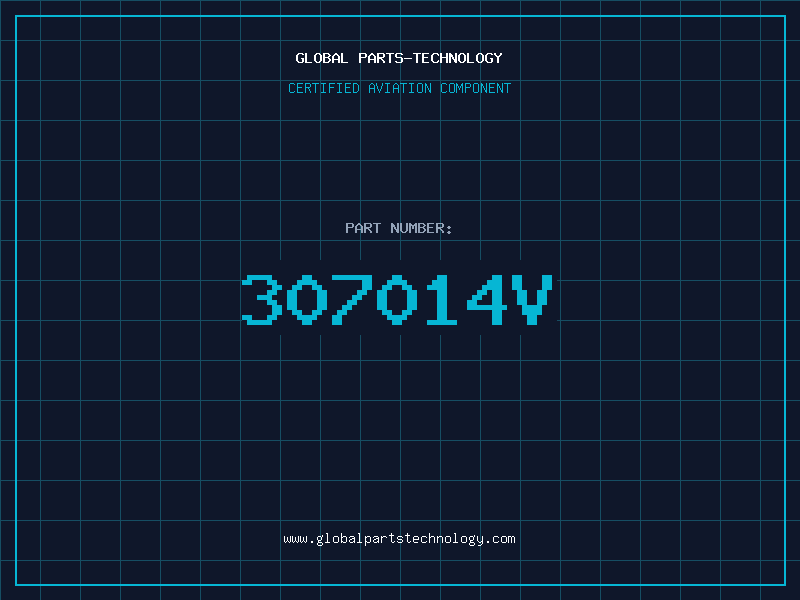 Aviation Part 307014V