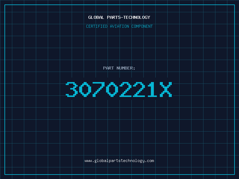 Aviation Part 3070221X