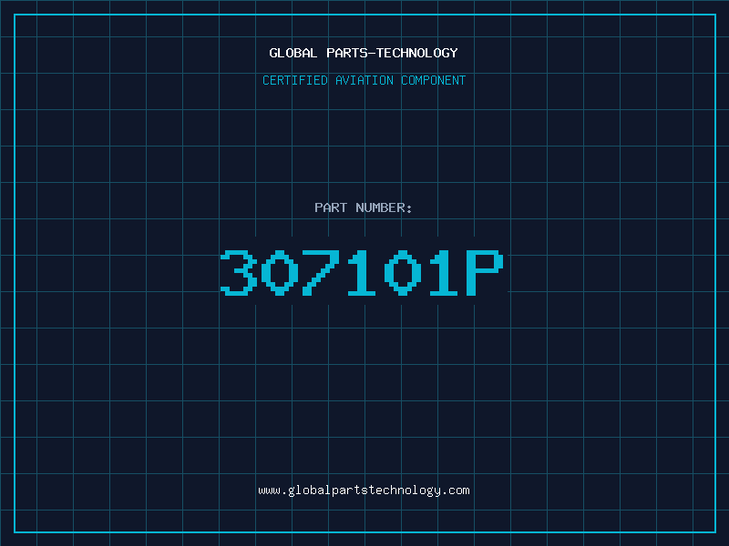 Aviation Part 307101P