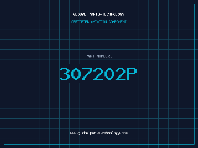 Aviation Part 307202P