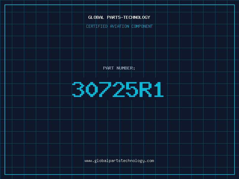 Aviation Part 30725R1