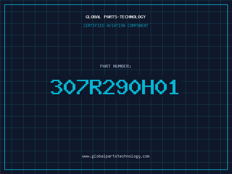 Aviation Part 307R290H01