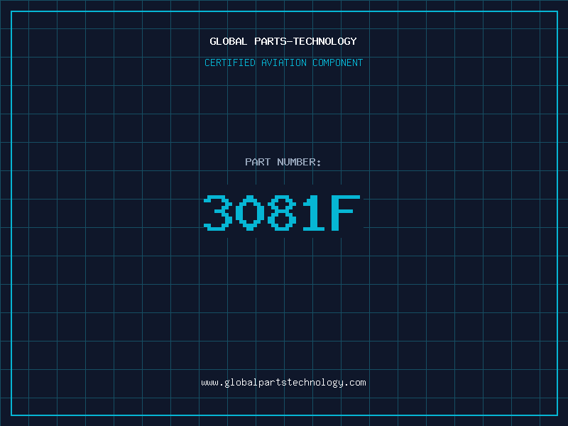 Aviation Part 3081F