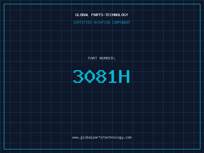 Aviation Part 3081H